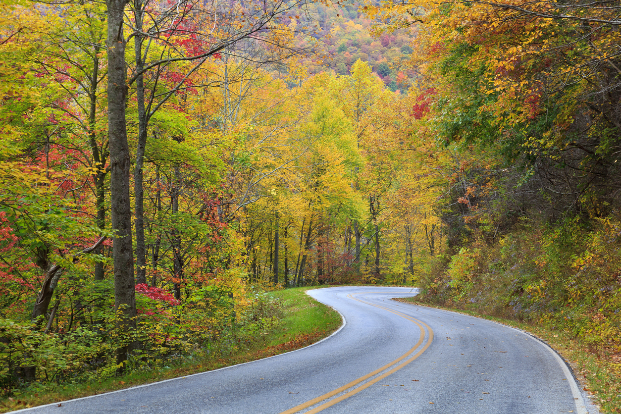 8 Unique Road Trip Destinations Near Fort Campbell